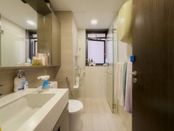 Botanique At Bartley (D19), Condominium #554085881